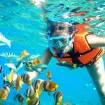 Cancún Snorkeling