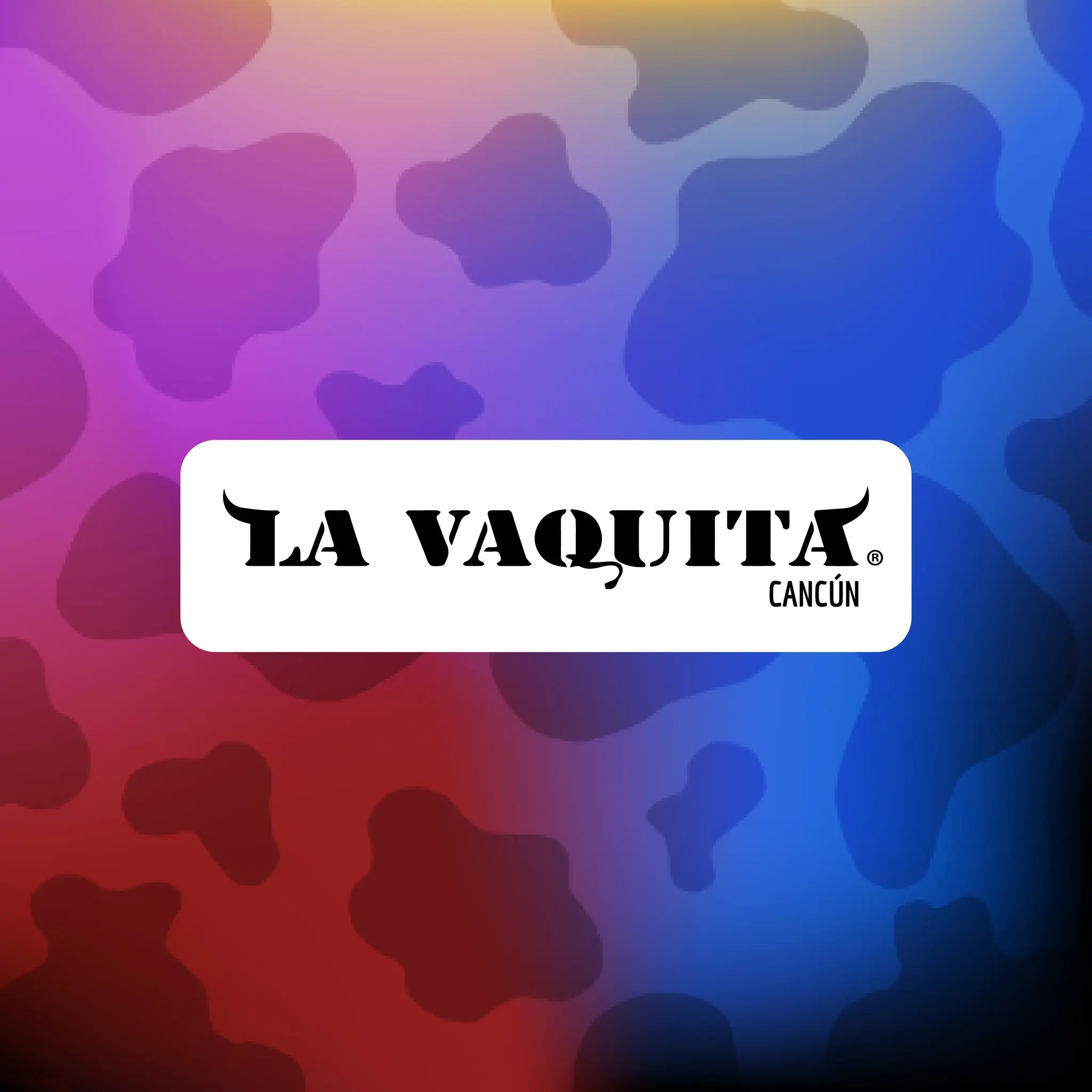 La Vaquita Cancún - Discoteca en Cancún 
