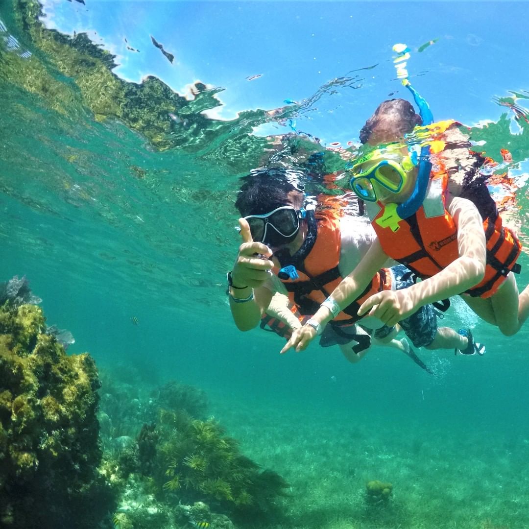 Snorkel en Puerto Morelos 